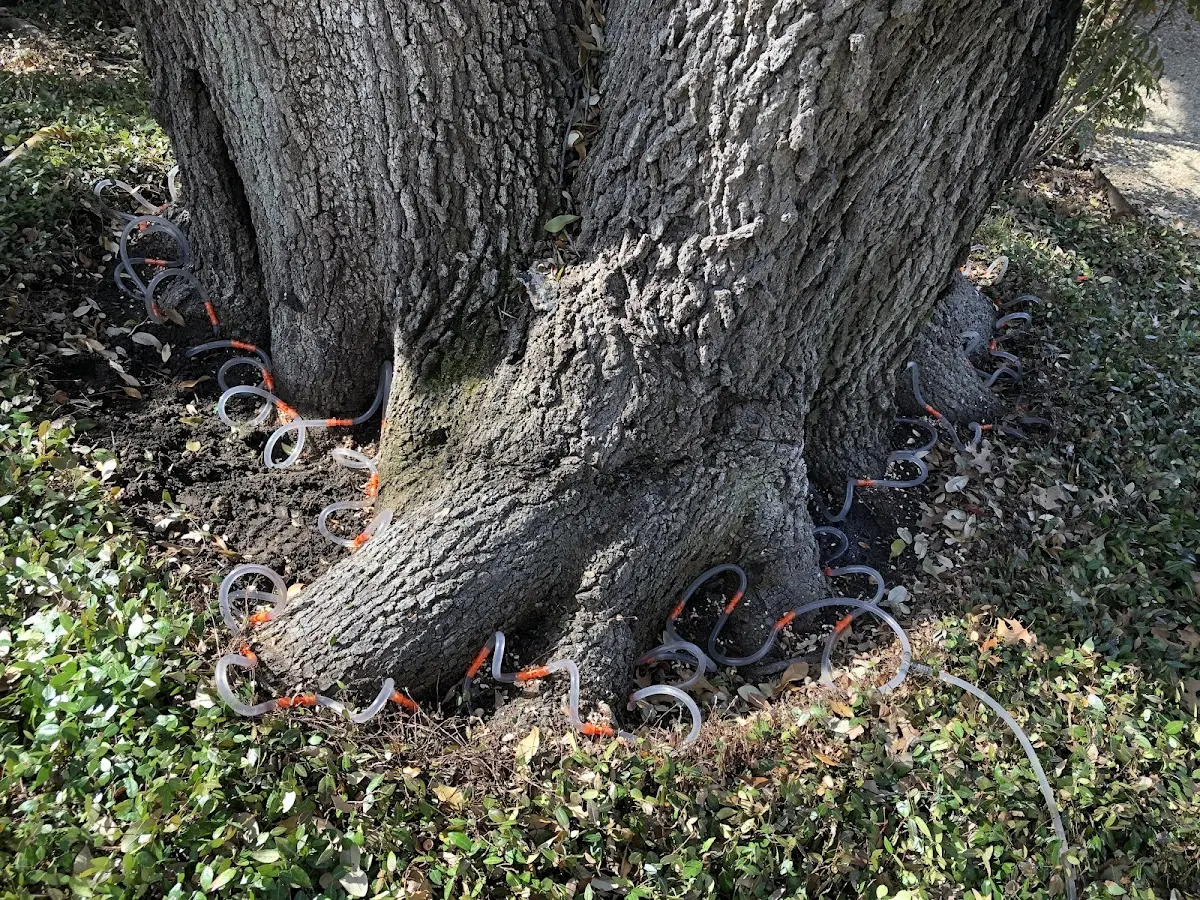 Detailed Shrub and Hedge Trimming job site in Enid